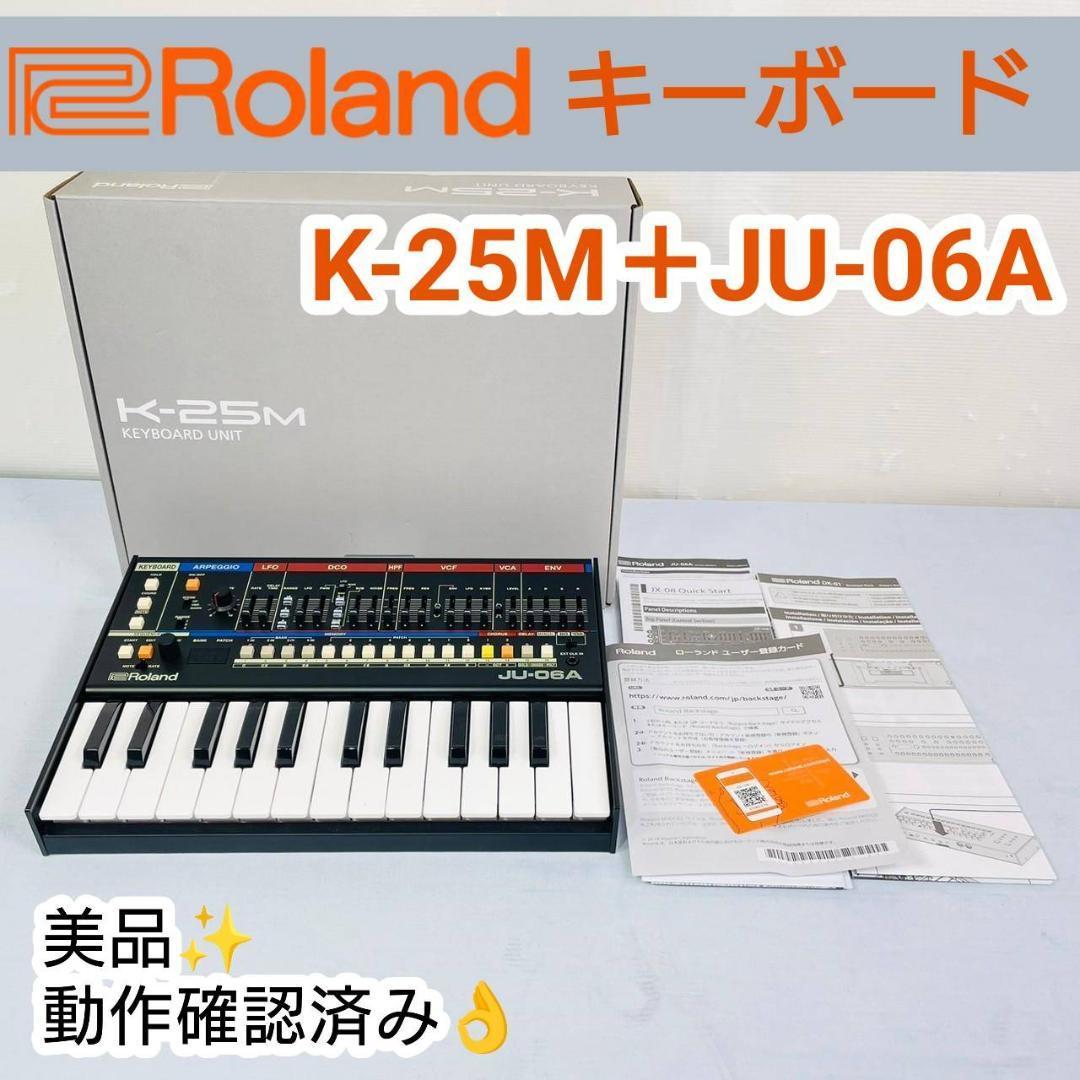 2023年最新】ヤフオク! -roland k25m(鍵盤楽器)の中古品・新品・未使用