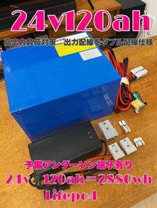 GTK 24v 120ah Lifepo4 ミンコタ モーターガイド ガーミン フットコン エレキ ツアー リチウム リチビー