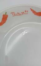 片岡鶴太郎オリジナル パスタプレート ペア お皿 直径約20cm プレート 食器 洋食器_画像5