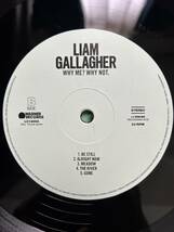 EUオリジナルＬＰ「 LIAM GALLAGHER（リアム・ギャラガー）/ WHY ME? WHY NOT.（ホワイ・ミー？ホワイ・ノット）」_画像7