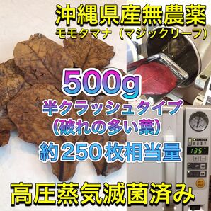 高圧蒸気滅菌済み沖縄県産無農薬モモタマナ　半クラッシュ（破れの多い葉）500g マジックリーフ　20cm程の葉が250枚相当量