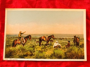 7175/米国Antique絵葉書 デトロイト 遊牧民 馬 アメリカ ポストカード