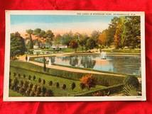 7111/米国Antique絵葉書 フロリダ州ジャクソンビル THE LAKES RIVERSIDE PARK アメリカ ポストカード_画像1