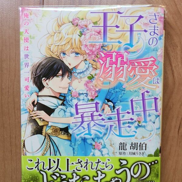 王子さまの溺愛は暴走中　俺の天使は世界一可愛い 