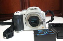 Panasonic LUMIX G5 DMC-G5-W ボディ シャッター数4527 極美品 レターパック520円_画像3