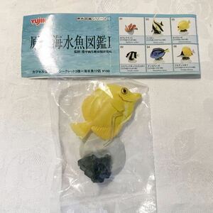 原色海水魚図鑑Ⅰ　キイロハギ　内袋未開封品