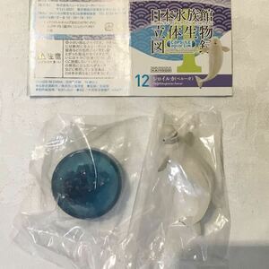 日本水族館立体生物図録4 シロイルカ(ベルーガ)　内袋未開封品
