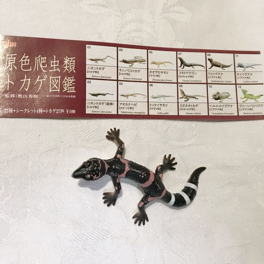 2023年最新】Yahoo!オークション -トカゲ 図鑑の中古品・新品・未使用