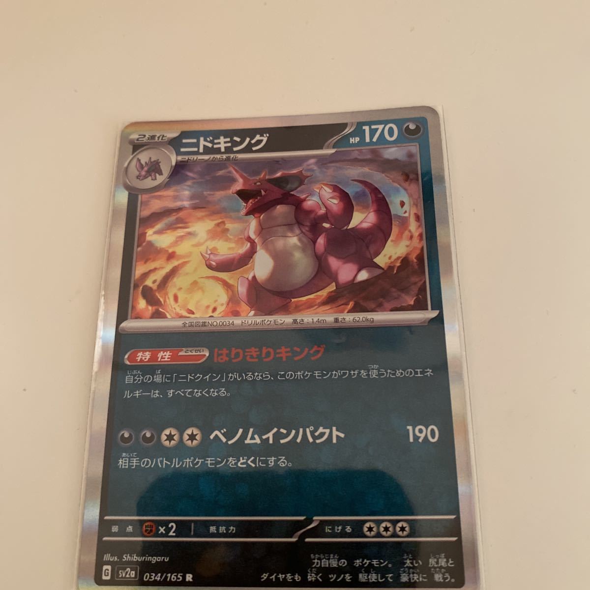 2025年最新】Yahoo!オークション -ポケモンカード ニドキングの 2025年最新】Yahoo!オークション -ポケモンカード ニドキングの