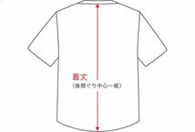 NIKE SB 堀米雄斗 Tシャツ XLサイズ 日本未発売 青 新品未開封 国内XXL相当 ナイキSB YUTO TEE ポーラーブルー UNCカラー FN0669-450_画像5