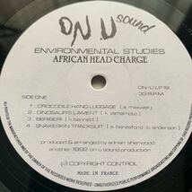 African Head Charge Environmental Studies UKオリジナル DUB ON-U Sound レコード_画像3