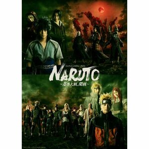ライブ・スペクタクル「NARUTO-ナルト-」?忍界大戦、開戦?(完全生産限定版) DVD