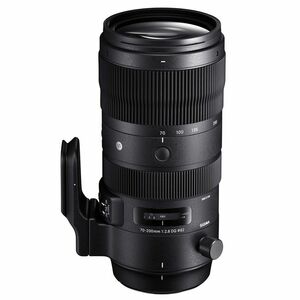 SIGMA 70-200mm F2.8 DG OS HSM | Sports S018 | Nikon Fマウント | Full-Size/