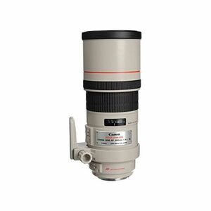 Canon 単焦点望遠レンズ EF300mm F4L IS USM フルサイズ対応