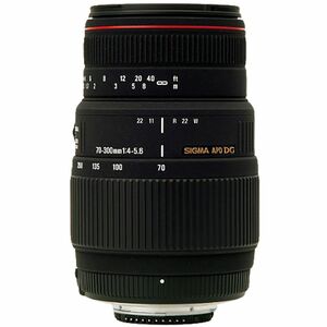 SIGMA 望遠ズームレンズ APO 70-300mm F4-5.6 DG MACRO キヤノン用 フルサイズ対応 508272