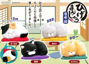 ひげまんじゅう 座布寝 ぬいぐるみ ST ＜みーさま・黒豆・ほとけ・ふくにゃん＞ 4種セット