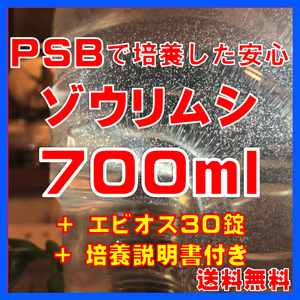 ★送料無料★PSBで培養したゾウリムシ種水700ml＋エビオス30錠＋培養説明書　メダカの針子、稚魚、幼魚、越冬中にも安心。