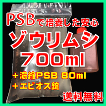 PSBで培養した安心ゾウリムシ