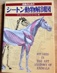 美術のための　シートン動物解剖図　A・T・シートン著　マール社