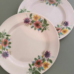 * Taiwan retro * floral print B plate 2 sheets set plastic pink plate * Taiwan tableware * Vintage dia259407b