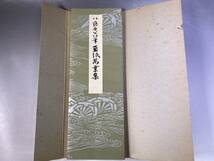 平安朝かな名蹟選　第21巻 伝藤原公任筆　藍紙萬葉集　書芸文化新社_画像2