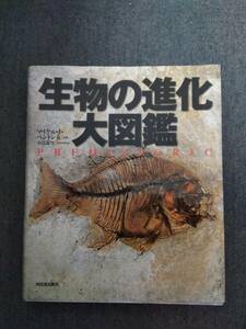 n928 生物の進化 大図鑑 マイケル・J・ベントン 河出書房新社 2010年 初版 2Hb0