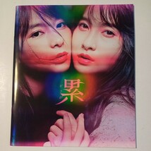 映画パンフレット　邦画　累　かさね　土屋太鳳　芳根京子　美品　ホラー映画_画像1