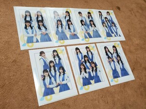 ★ 非売品！ 日向坂46 クリアファイル 7枚セット！ 最新版 ローソ◯限定 ★