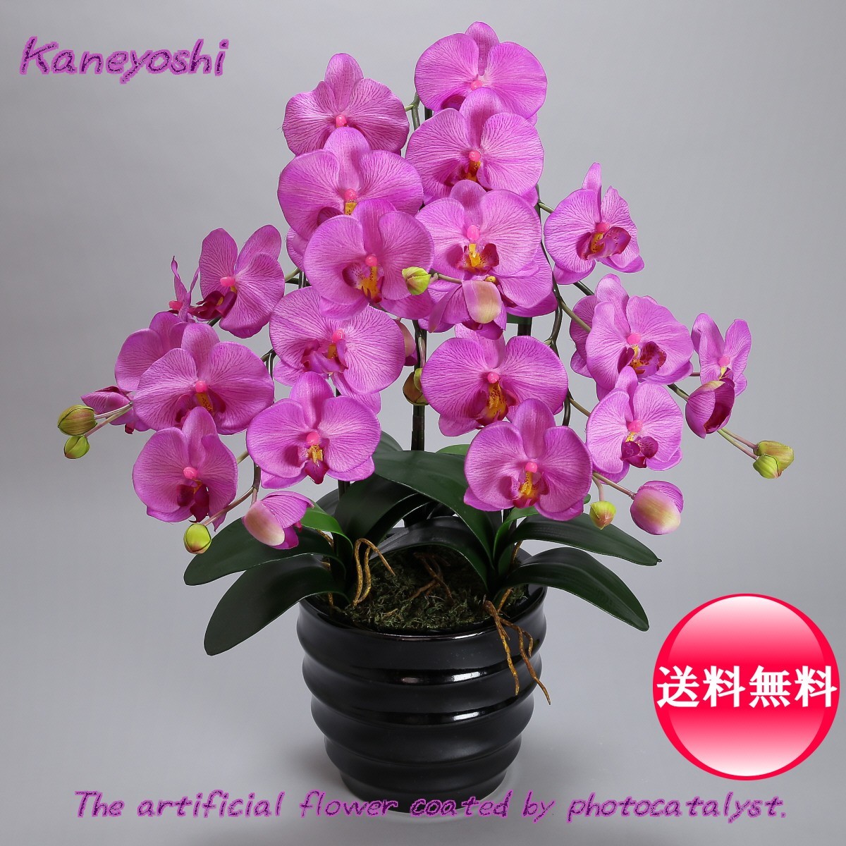 Photocatalyseur Phalaenopsis Fleur Artificielle Intérieur Grand 3 Tige Violet Violet Célébration Cadeau Souvenir Anniversaire Présentation Nouvelle Maison Ouverture Fleur Faux Vert Purificateur d'air, Artisanat, Artisanat, Fleur artistique, Fleurs pressées, Produit fini