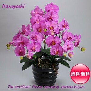 Светлый каталитический Phalaenopsis Lanterns Интерьер интерьер большой 3 Honai Violet Purple Celebration Gif