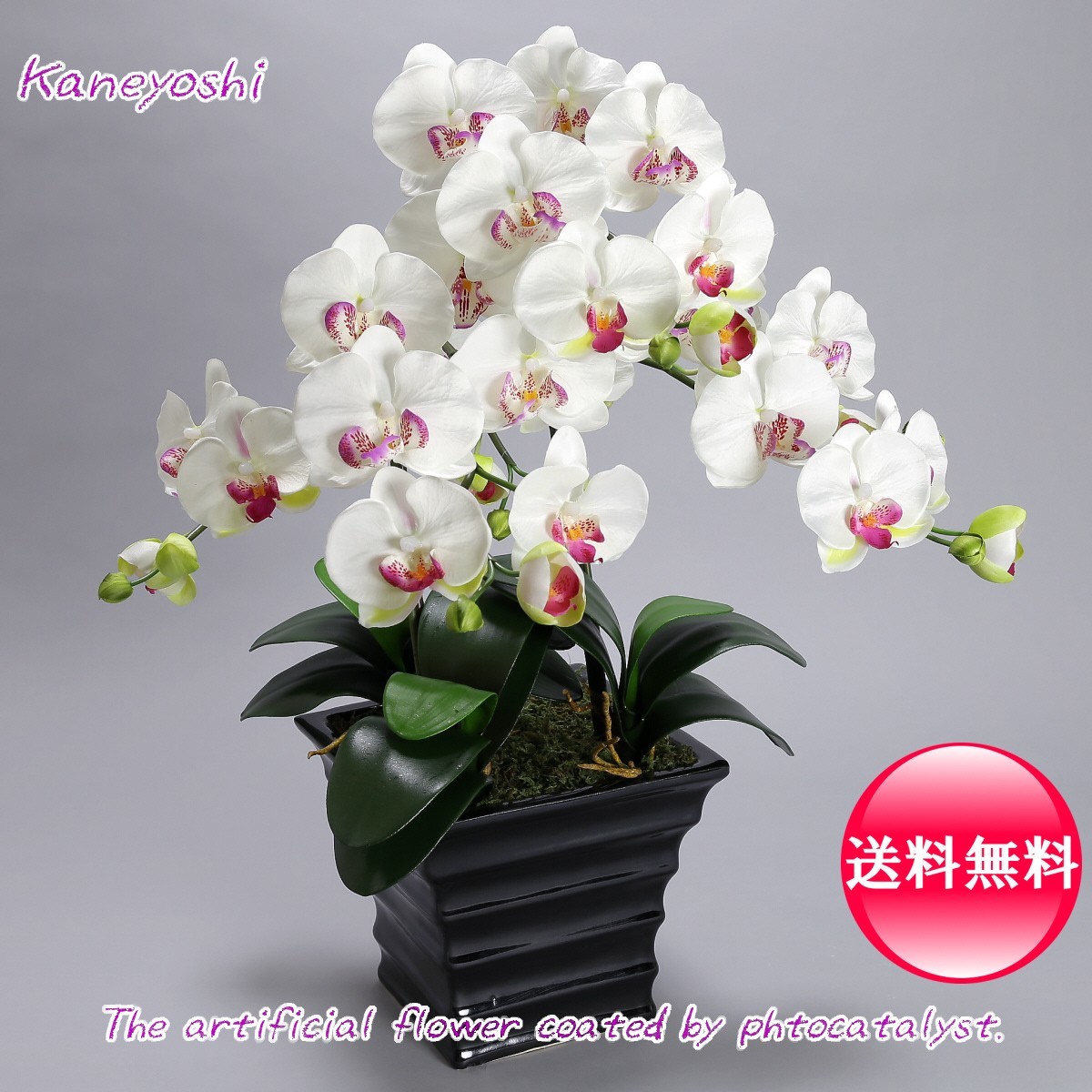 Photokatalysator Phalaenopsis Künstliche Blume Innenbereich Große Blume 3 Stiele Weiß Eine weiße Farbe Feier Geschenk Souvenir Geburtstag Präsentation Neueröffnung Blume Gefälschte Grüne Luftreiniger, Handwerk, Kunsthandwerk, Kunstblume, Gepresste Blumen, Fertiges Produkt