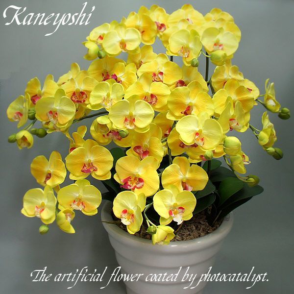 Photocatalyseur Phalaenopsis Fleurs Artificielles Intérieur Grand 7 Tige Jaune Célébration Cadeau Souvenir Anniversaire Présentation Nouvelle Maison Ouverture Fleurs Faux Vert Purificateur D'air, Artisanat, Artisanat, Fleur artistique, Fleurs pressées, Produit fini