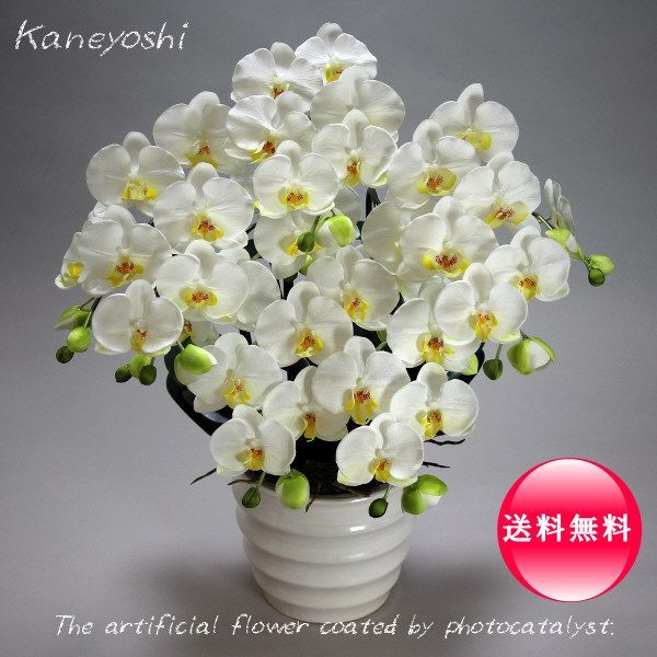 Photocatalyst Phalaenopsis Artificial Flowers Interior Large Flowers 5 Stems White B White Color Celebration Gift Souvenir Birthday Presentation New House Opening Flowers Fake Green Air Purifier, Handcraft, Handicrafts, Art Flower, Pressed flowers, Finished Product