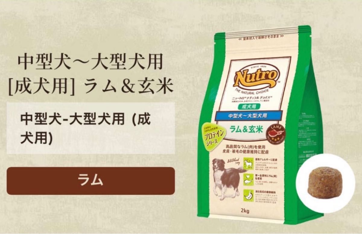 ニュートロ ナチュラルチョイス ラム&玄米 中型犬 成犬 プロ|PayPay