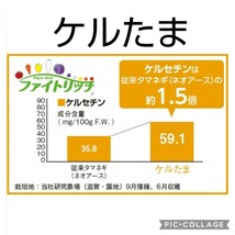 晩生【100粒】たまねぎ『ケルたま』ケルセチン豊富！　長期貯蔵向き♪　送料73円〜_画像2