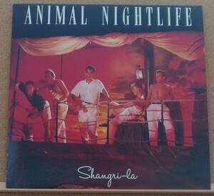 LP(POPS・バンド・UK盤) アニマル・ナイトライフ ANIMAL NIGHTLIFE / シャングリラ Shangri-la【同梱可能6枚まで】050925