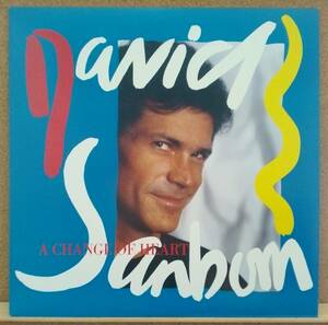 LP(JAZZ/FUSION,希少,’87年盤,サックス奏者,P-13440)デイヴィッド・サンボーンDAVID SANBORN/A Change Of Heart【同梱可能6枚まで】050925