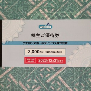 ウエルシアホールディングス 株主優待券6,000円(500円券×12枚)