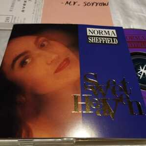 NORMA SHEFFIELD ノーマ・シェフィールド Sweet Heaven 国内盤CD Avex Trax スイート・ヘブン Dave Rogersの画像6