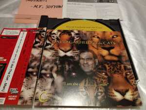  DAVID GARFIELD AND THE CATS I Am The Cat,Man 国内盤CD Steve Lukather Michael Landau Gregg Bisonette Vinnie Colaiuta AOR Fusion