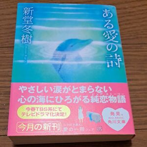 ある愛の詩 （角川文庫　し３４－２） 新堂冬樹／〔著〕