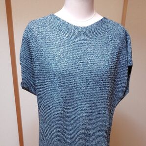 未使用 INDIVIのトップス ラグランスリーブ