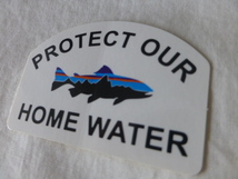 patagonia PROTECT OUR Fitzroy HOME WATER ステッカー Fitzroy Trout フィッツロイ トラウト パタゴニア PATAGONIA patagonia_画像5