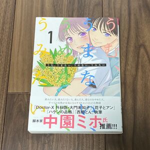  うむ、うまない、うめない、うみたい　１ （裏少年サンデーコミックス） 加藤綾子／原作　ことり／漫画　美品