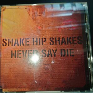 ＮＥＶＥＲ ＳＡＹ ＤＩＥ／ＳＮＡＫＥ ＨＩＰ ＳＨＡＫＥＳ　ziggy 森重樹一