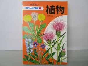 植物 (ポケット図鑑 1) e0509-hf3-nn243494