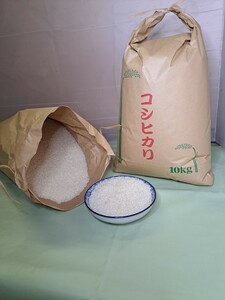 お米 コシヒカリ 白米10kg　