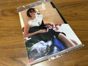  Yonekura Ryoko L штамп фотография 30 шт. комплект продажа комплектом 