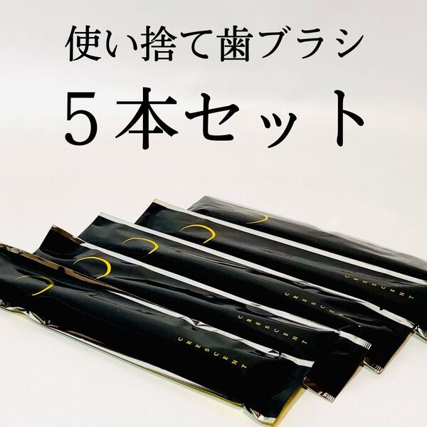 使い捨て 歯ブラシ 5本セット