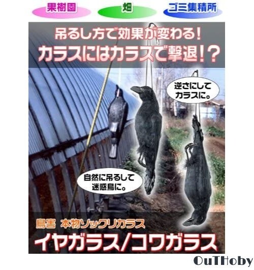 カラスよけ 54cm ◎ カラス避け 迷惑鳥 撃退 鳥獣害 対策 防止 ◎ 吊るす 吊り下げ ゴミ置き場 菜園 畑 倉庫 ハト スズメ ムクドリ